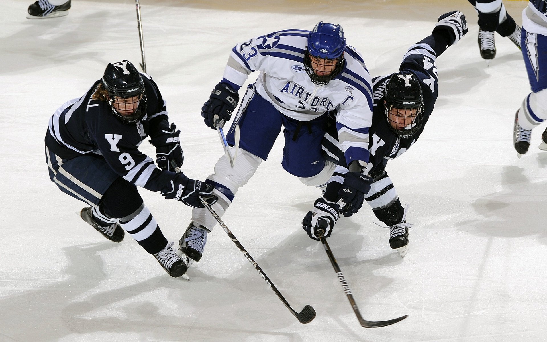 荒漠追逐：截击与闪避的生死战，03荒漠