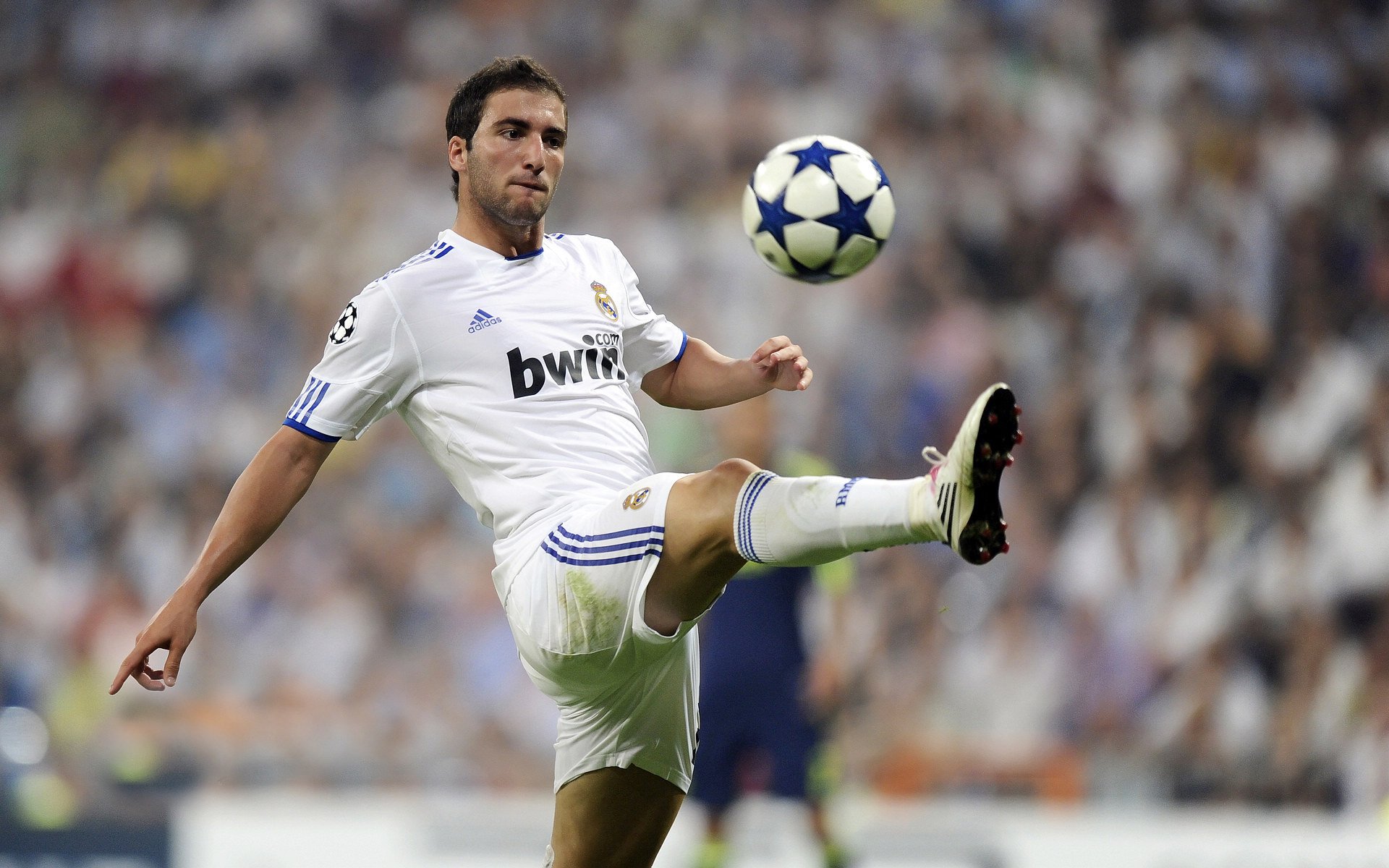 足球文化周在深圳成功举办，深圳足球规划